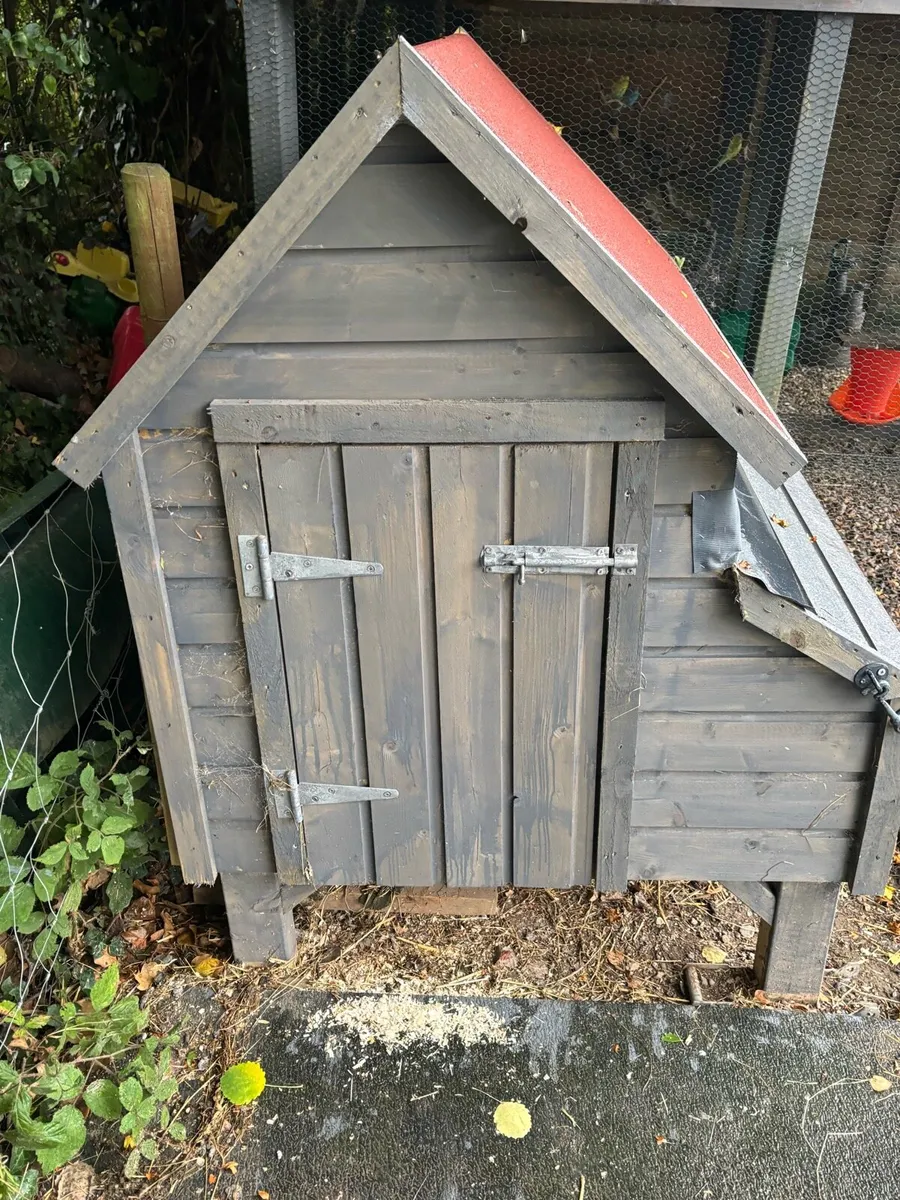 Poultry - Image 1
