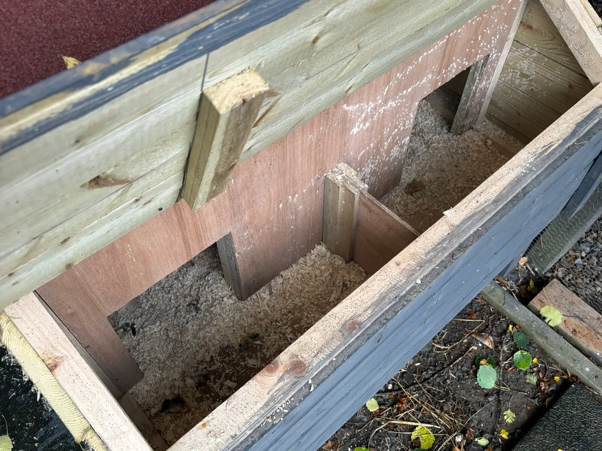Poultry - Image 3
