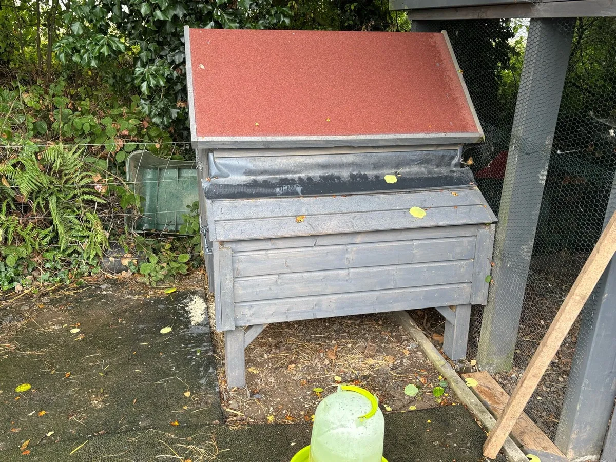 Poultry - Image 4