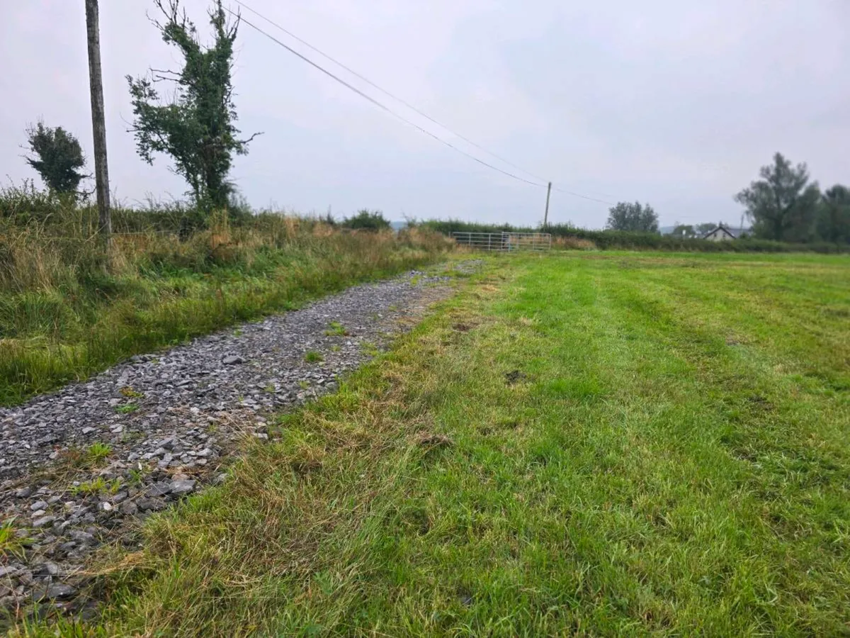 Silage - Image 4