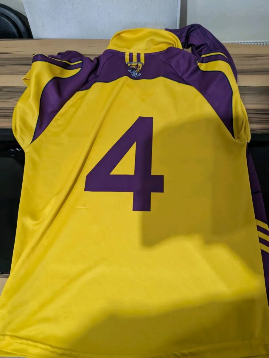 Match worn Wexford GAA jerseys rare long sleeve - Image 3