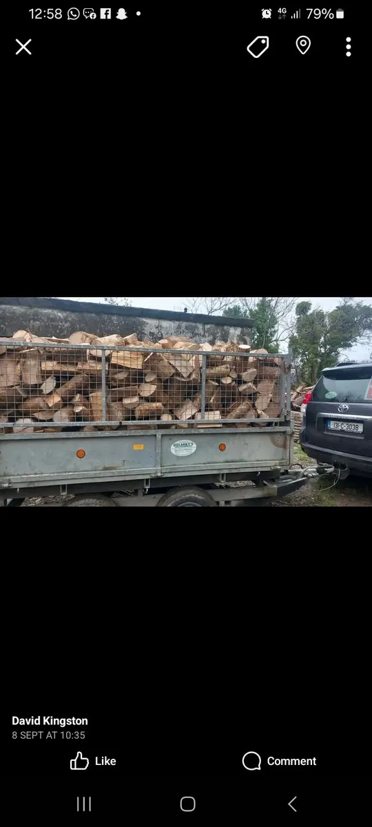 Hardwood firewood - Image 3