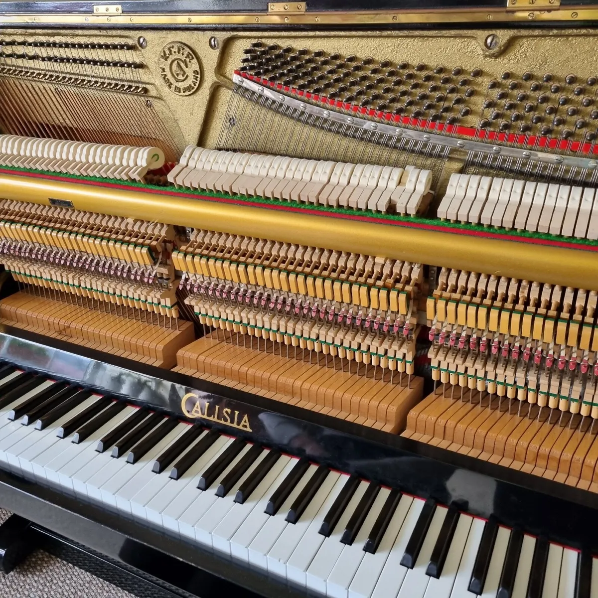 Piano Calisia - Image 3