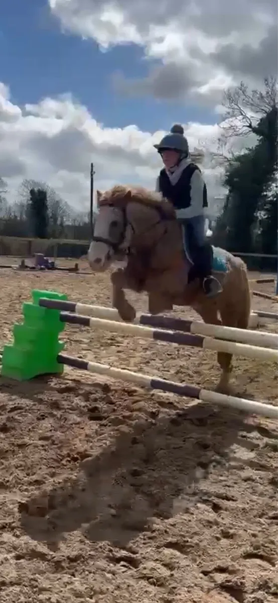 Pony - Image 1
