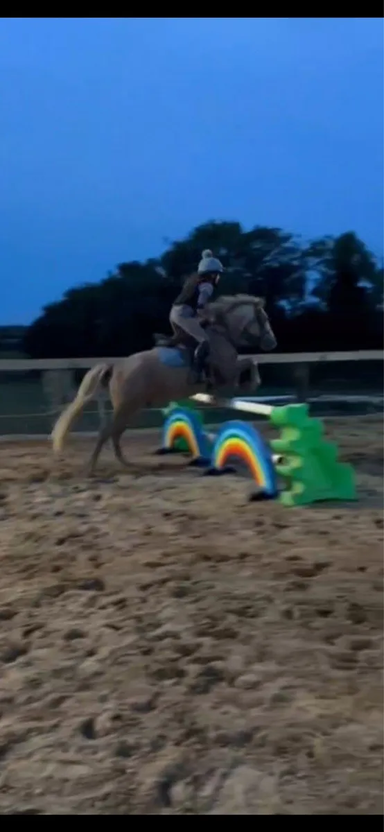 Pony - Image 4