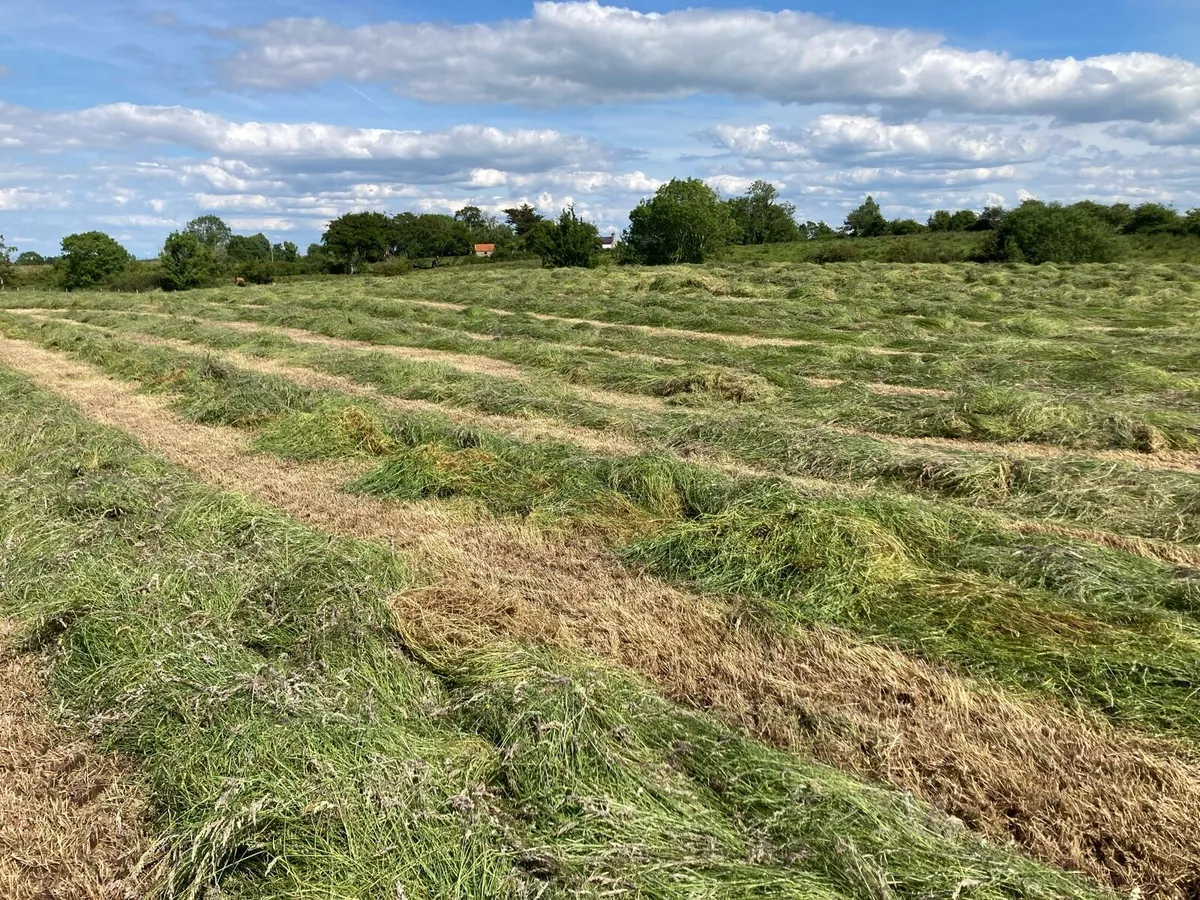 Haylage