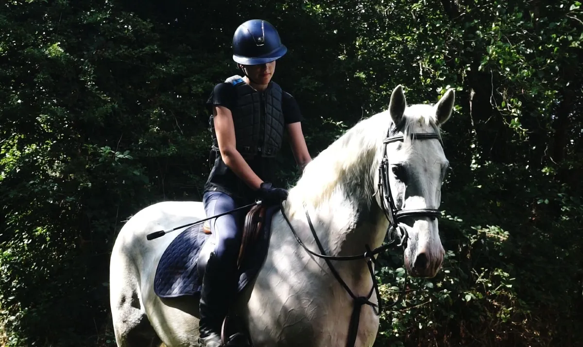 🌟 Super Eventing/WH type 🌟 - Image 3