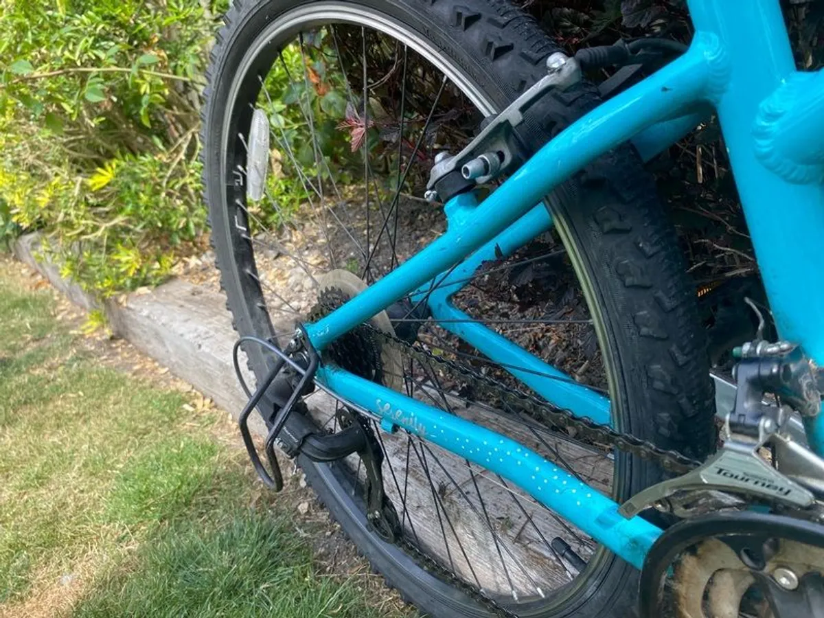 bike - Image 4