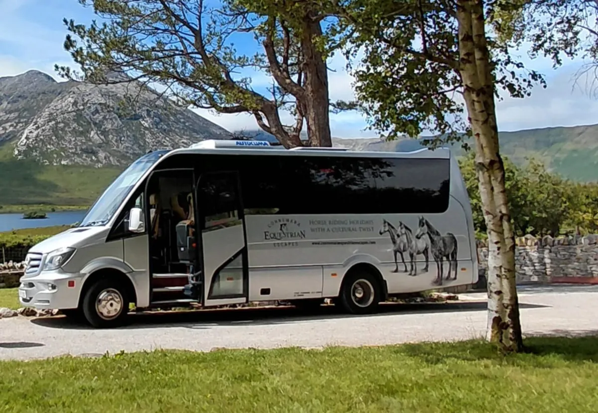 Turas 500 VIP Bus - Image 1