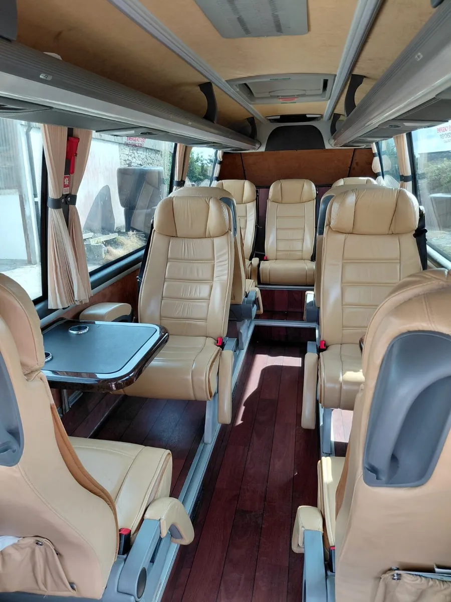 Turas 500 VIP Bus - Image 4