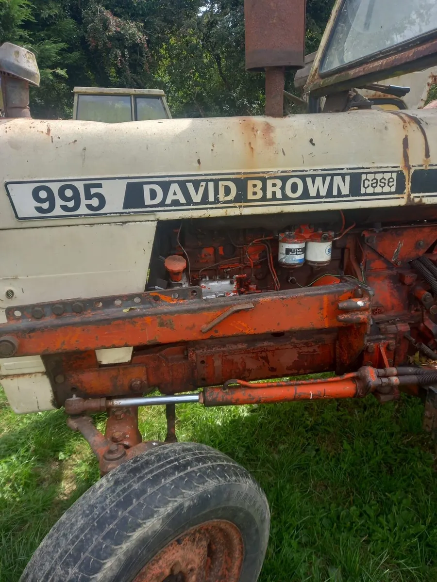 David brown - Image 3