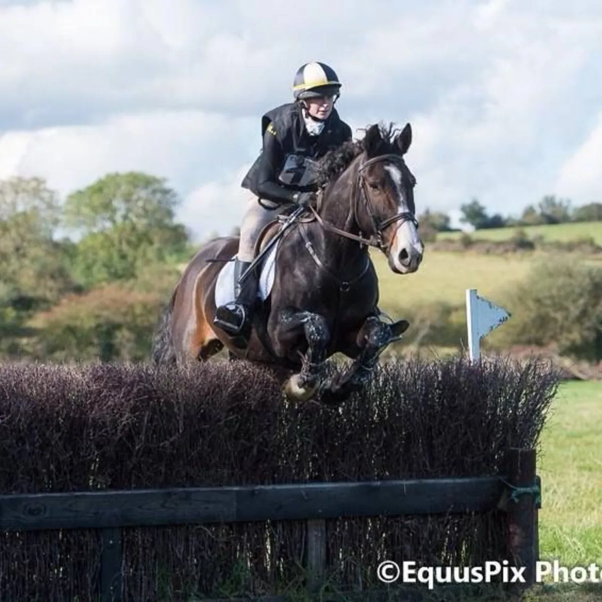 QUALITY EQUESTRIAN TRAINING & SUPPORT - Image 3