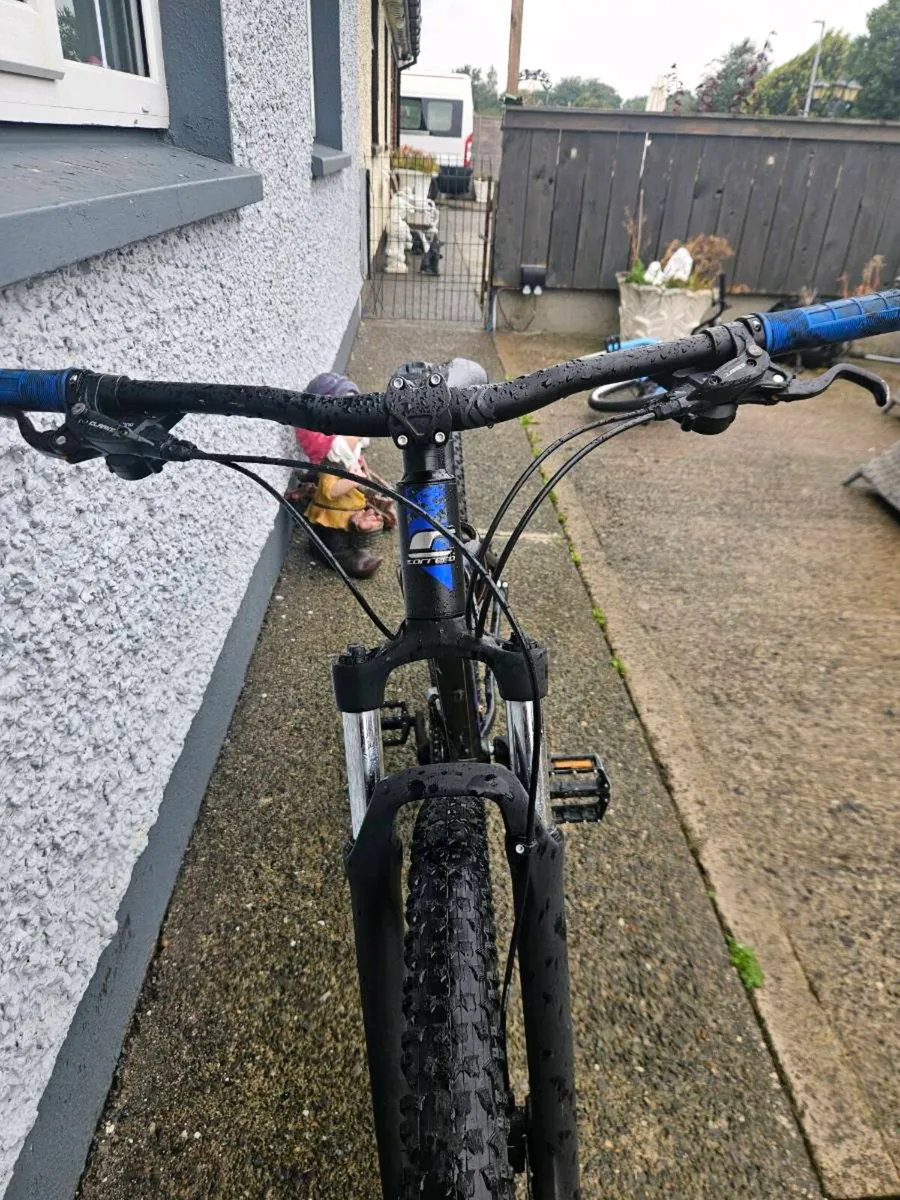 Carrera hellcat 29 inch - Image 4