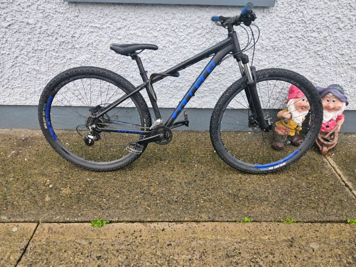 Carrera hellcat 29 inch - Image 3