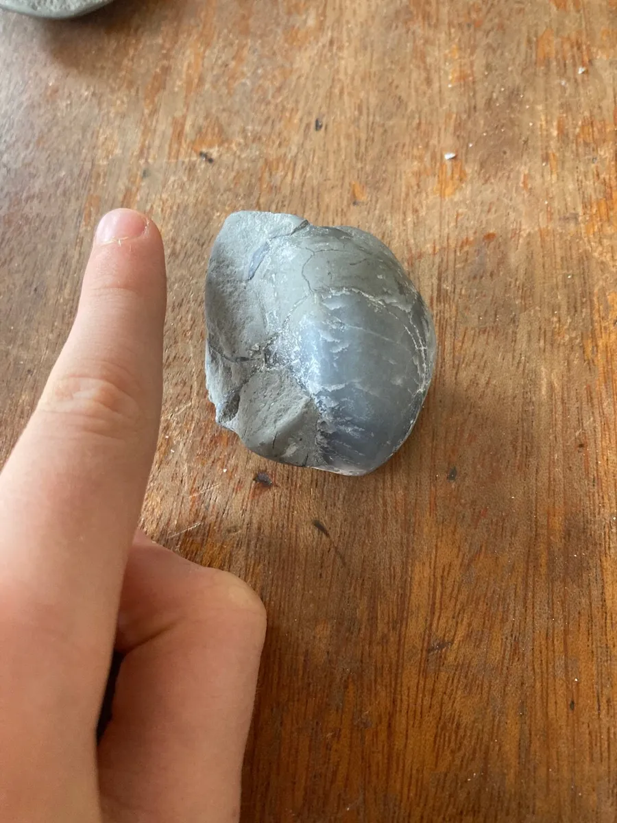 Fossil - Image 3
