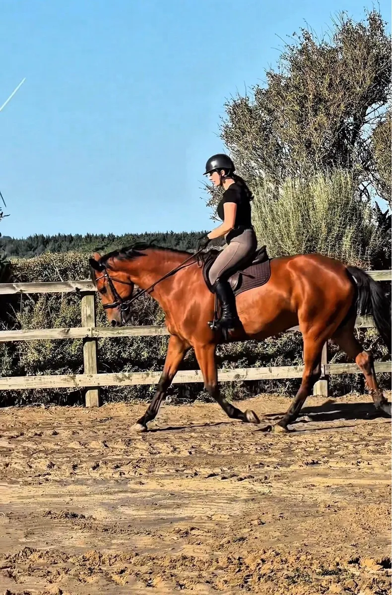 American hunter/ Amateurs dream - Image 1
