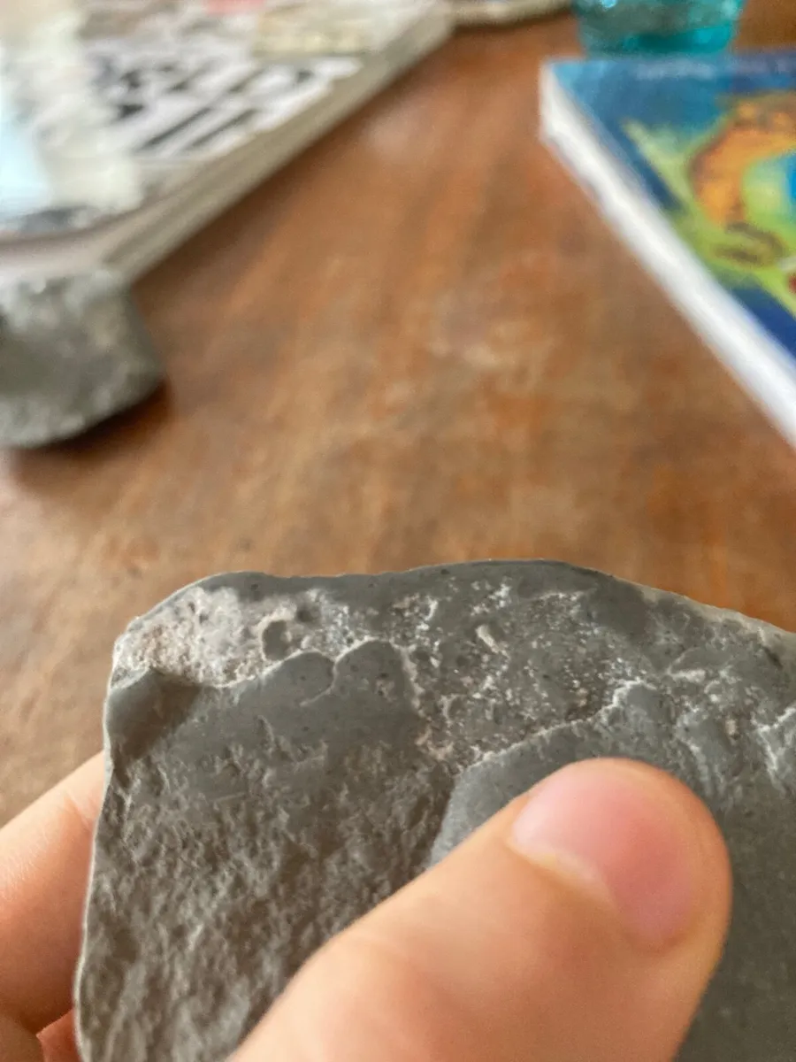 Fossil - Image 1