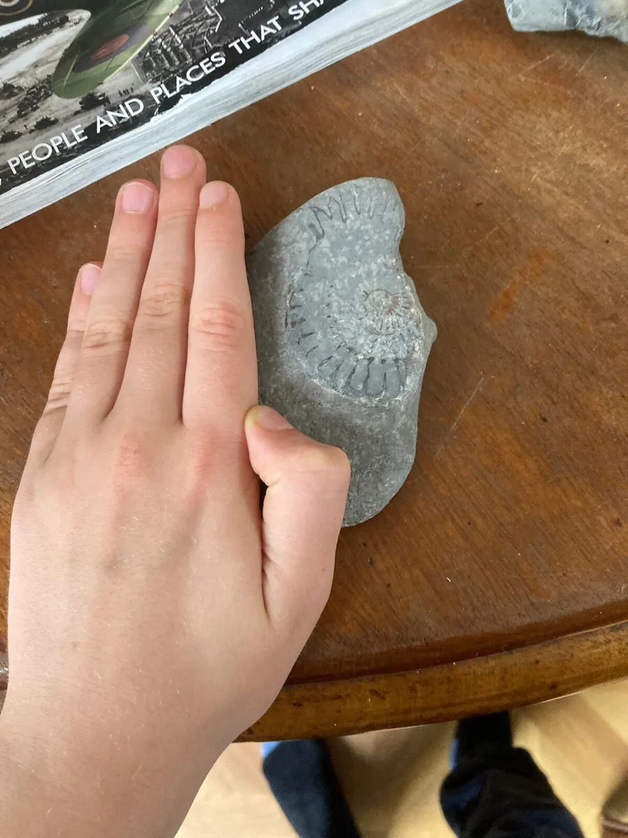 Fossil - Image 1