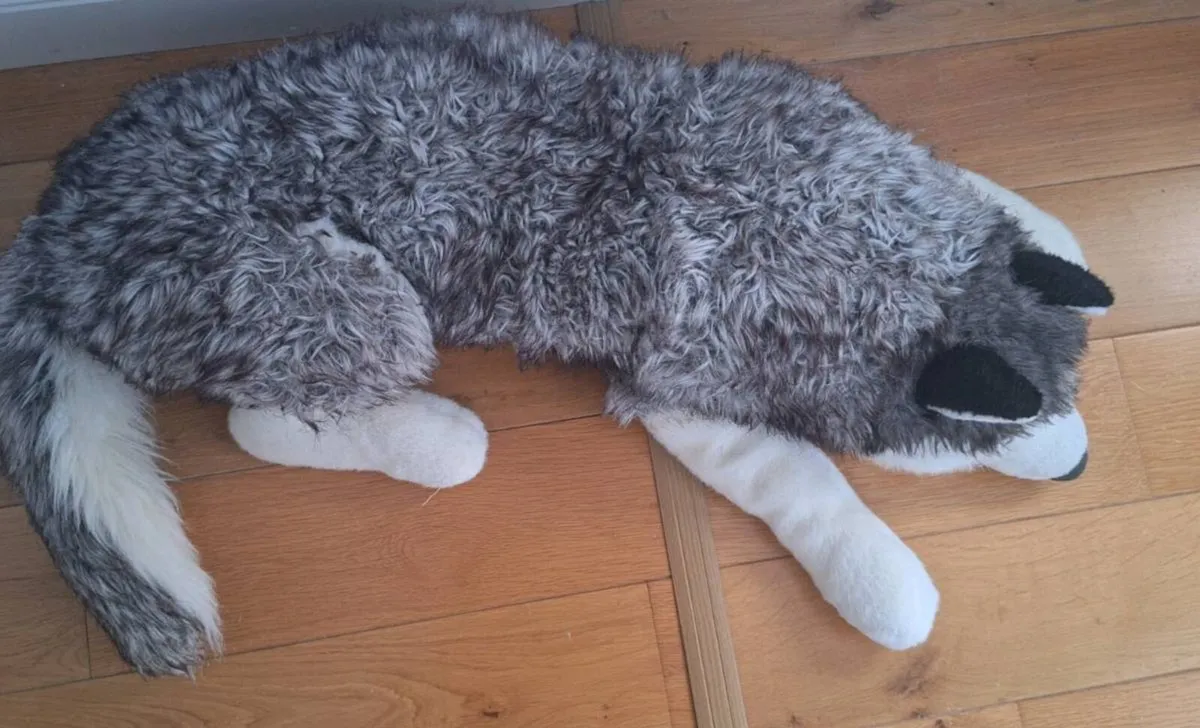Large Husky Dog teddy - Image 2