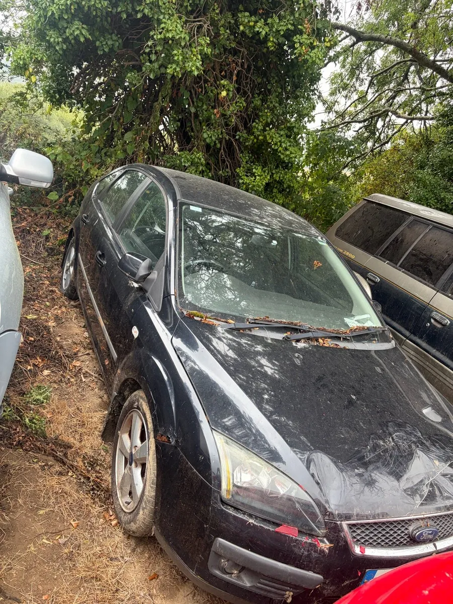 Ford focus for breaking