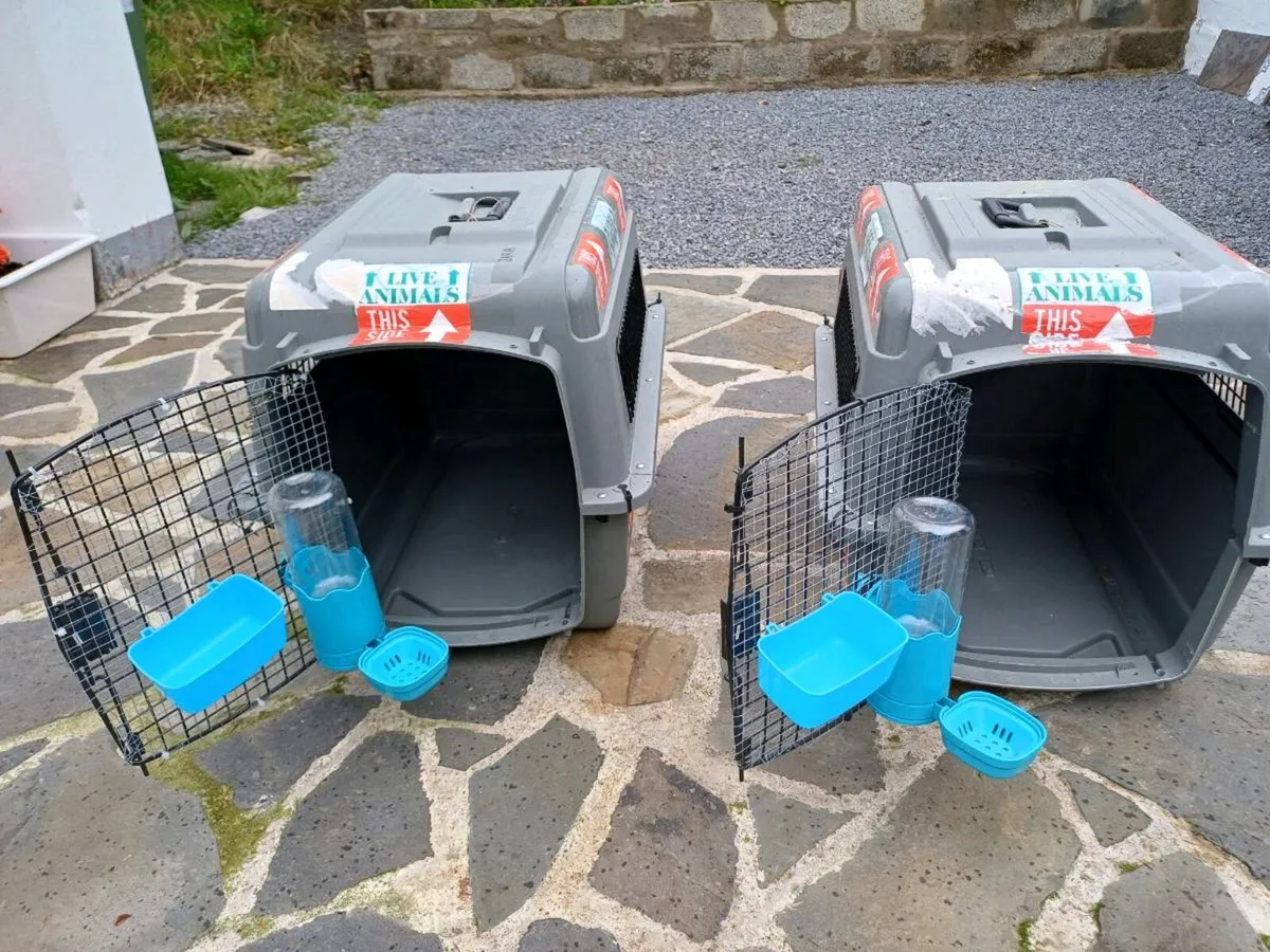 Animal carrier - Image 1