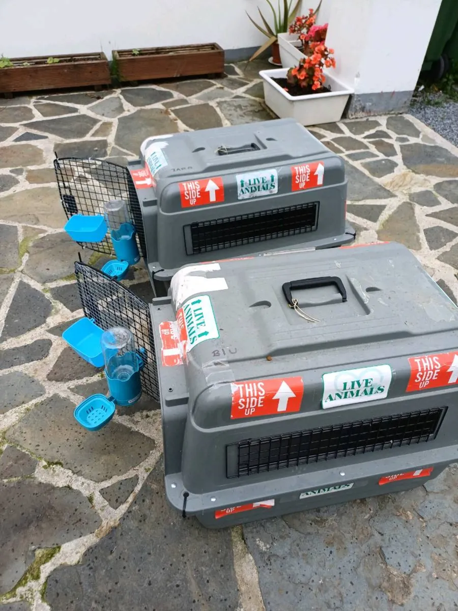 Animal carrier - Image 2