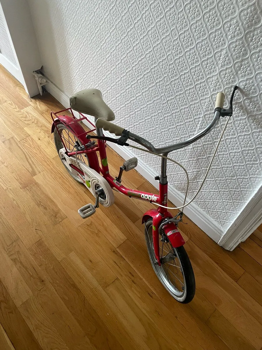 Raleigh apple - Image 1