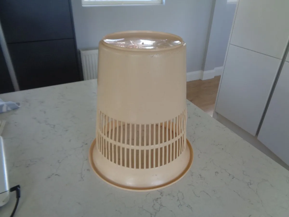 Plastic Bin for Sale - Image 2