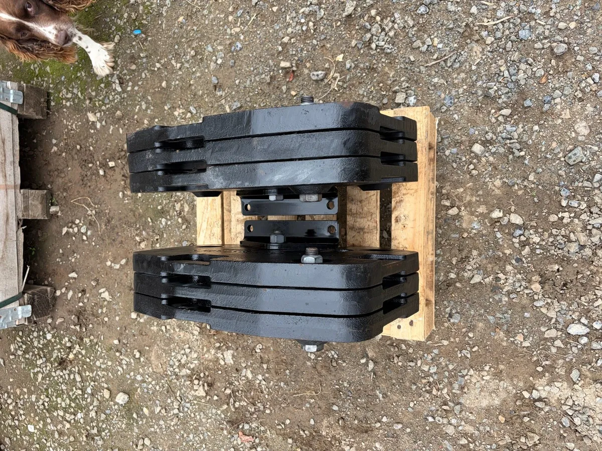 Vaderstad weights - Image 4