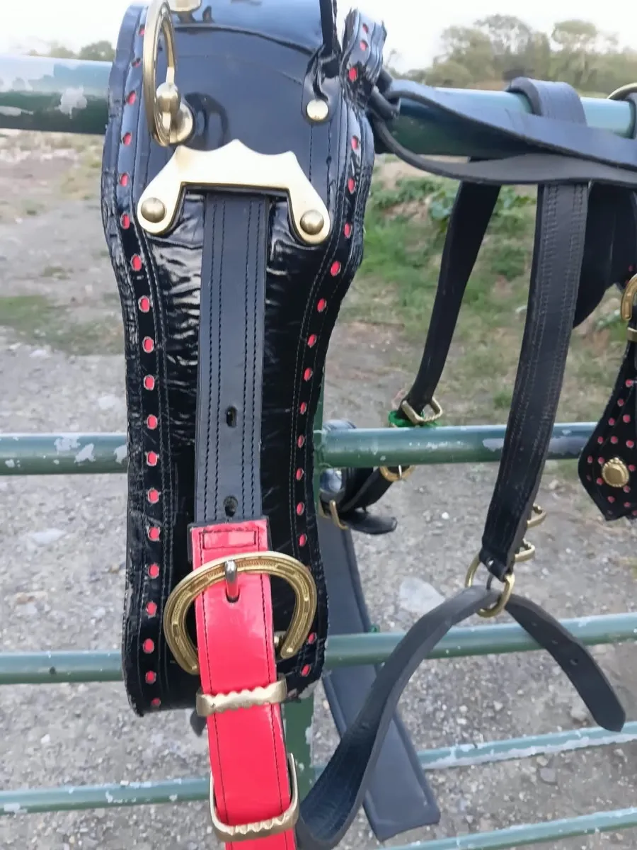 Driving breast set harness - Image 4