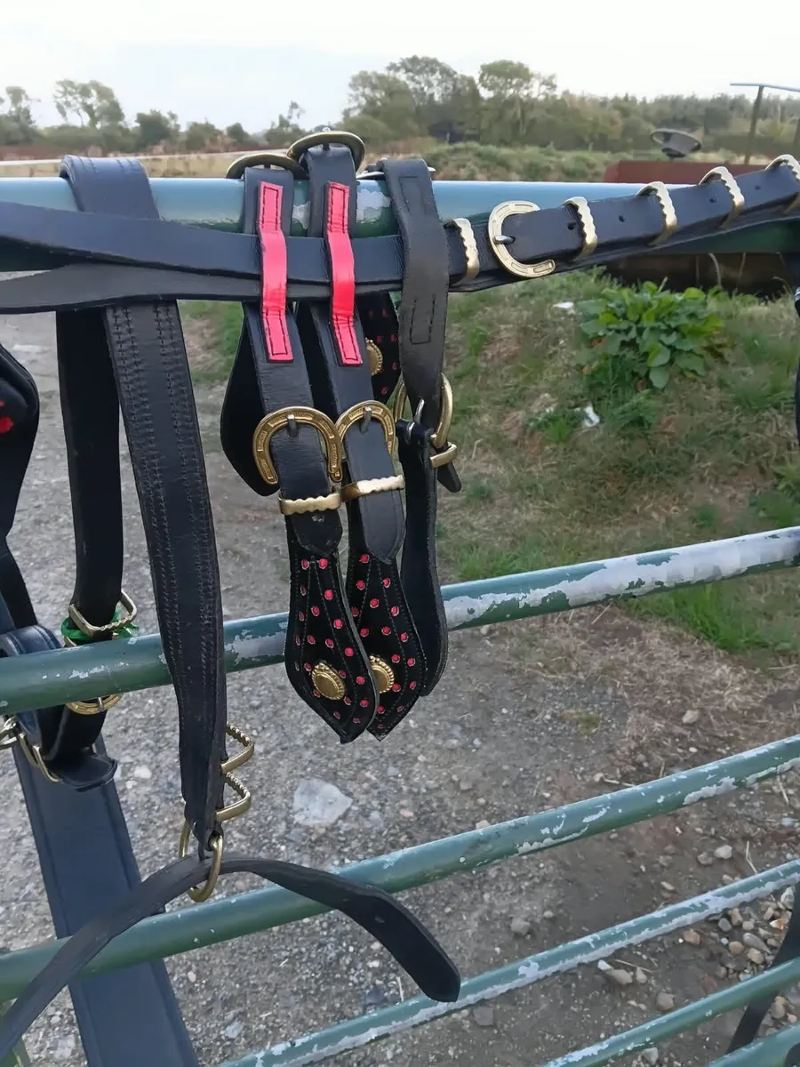 Driving breast set harness - Image 2
