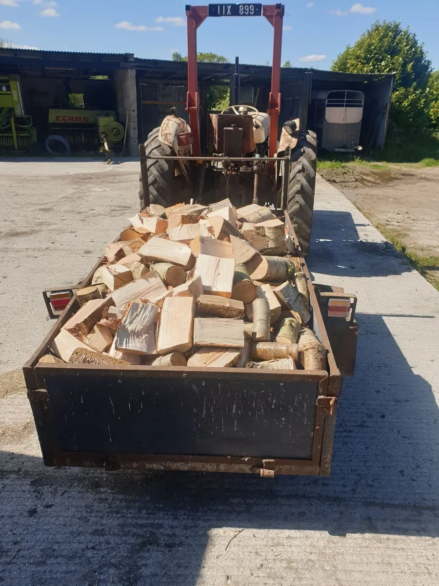 Firewood Ash and Birch - Image 1