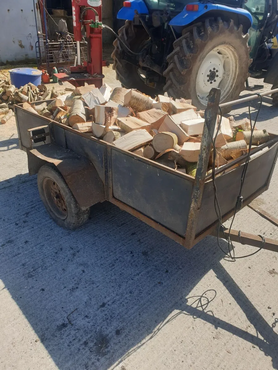 Firewood Ash and Birch - Image 3