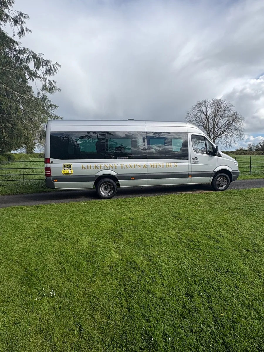 Mercedes Sprinter 16 passenger with boot - Image 4