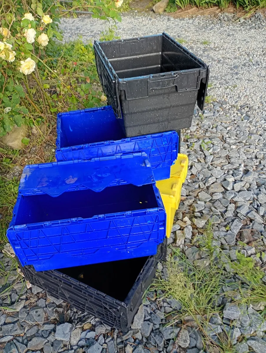Storage boxes - Image 2