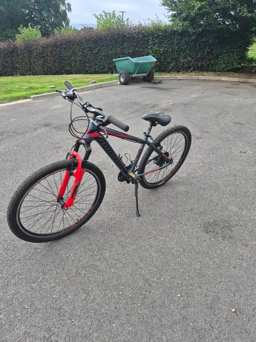 Bike - Image 2