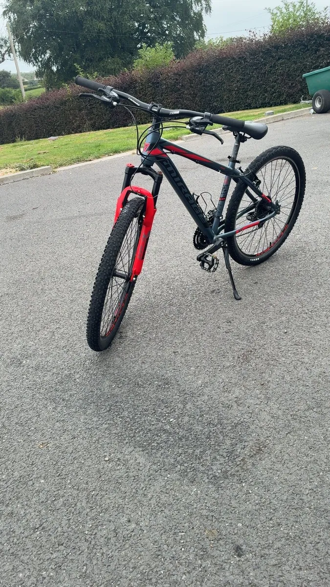 Bike - Image 3