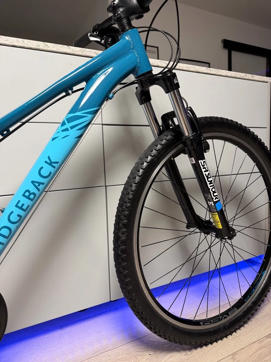 Ridgeback Terrain 2 Bike - Image 3
