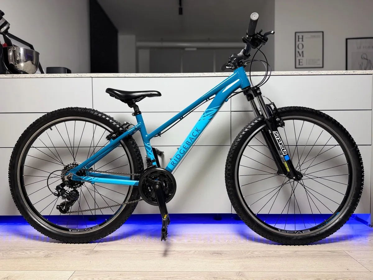 Ridgeback Terrain 2 Bike - Image 1