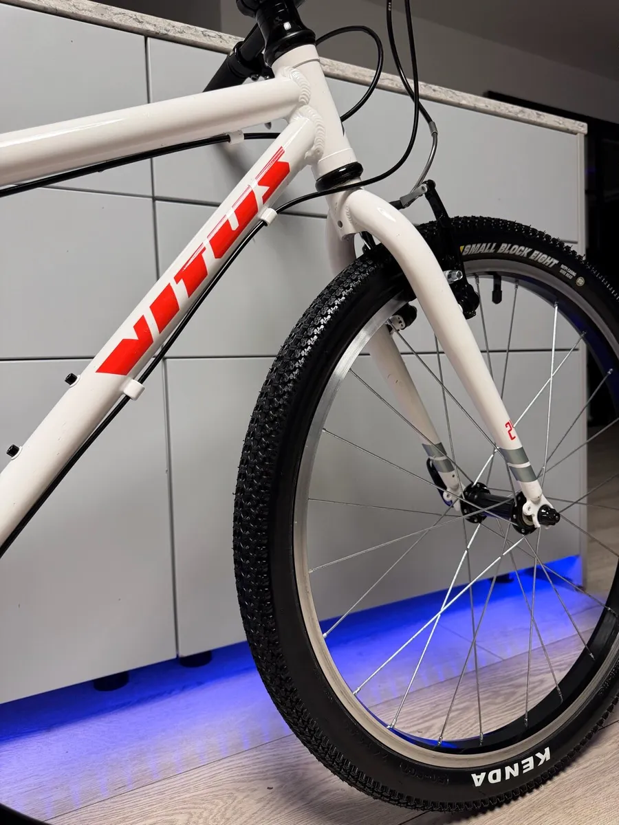 VITUS 24 Junior Bike 24 inch - Image 3