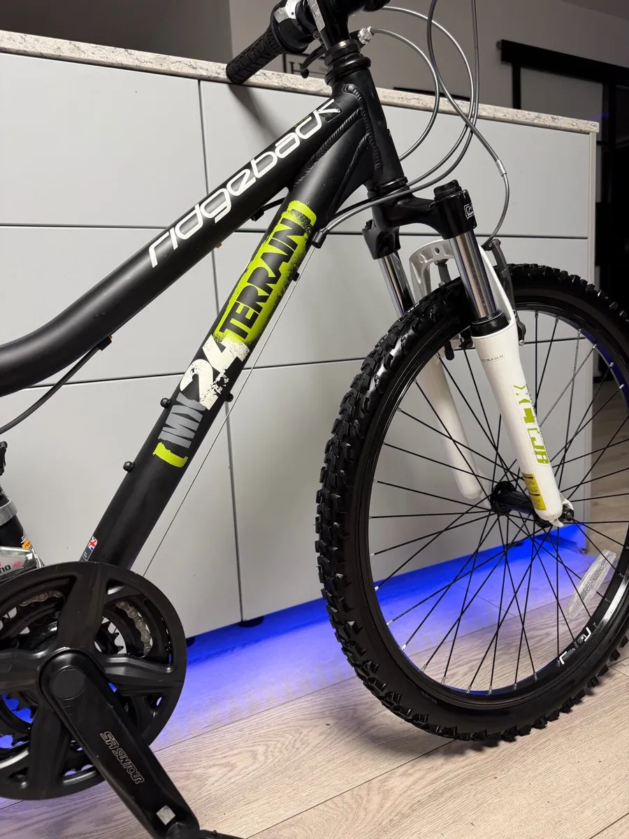 Ridgeback MX Terrain Junior Bike 24 inch - Image 3