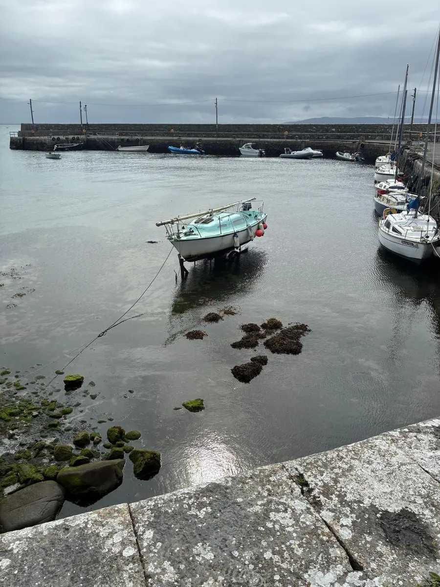 Seal 22 Daysailer - Image 1