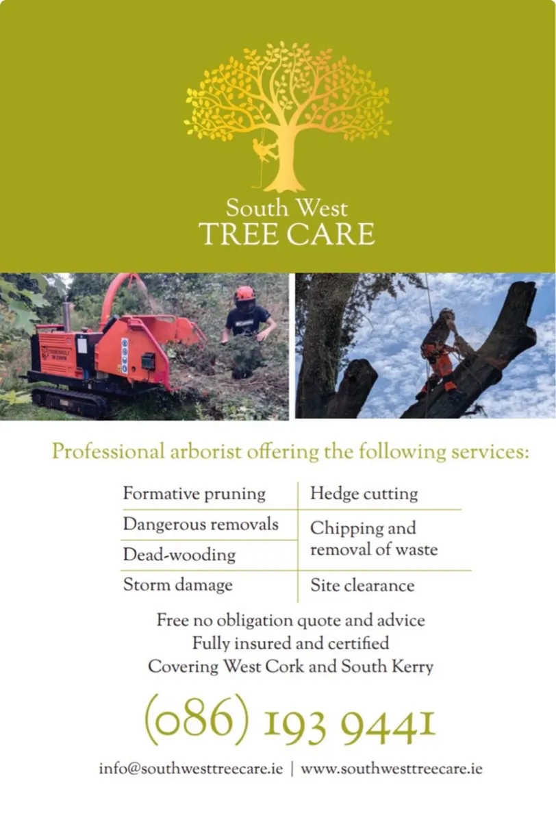 Tree surgery service