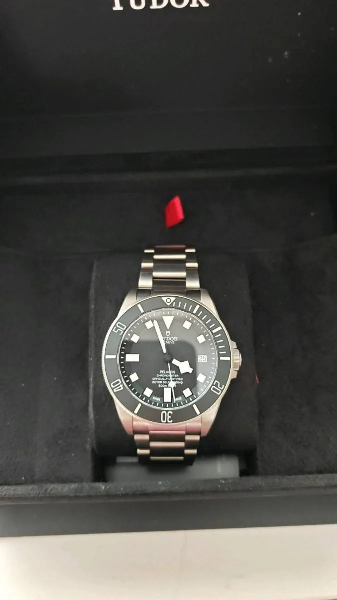 Tudor Pelagos 25600TN 2026 - Image 1