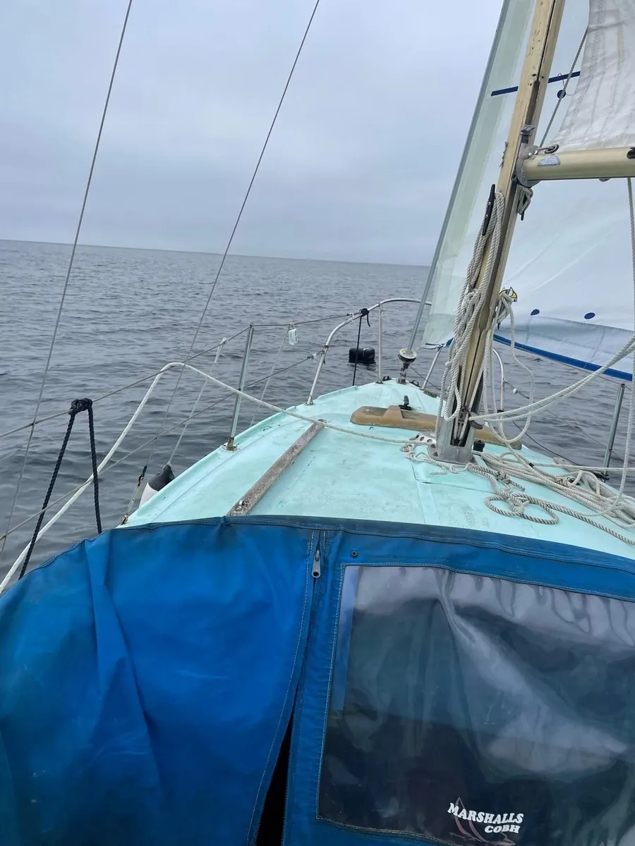 Seal 22 Daysailer - Image 4