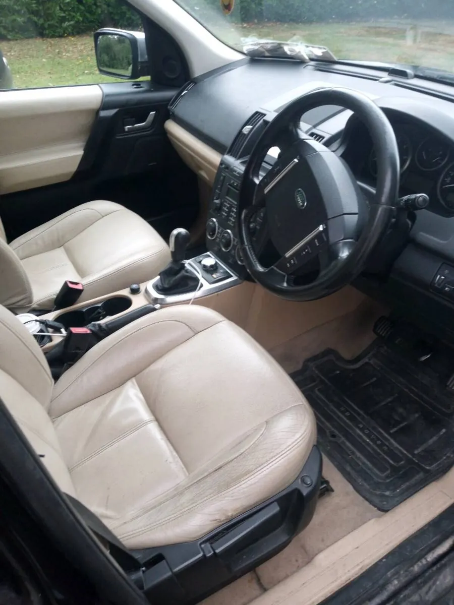 Freelander - Image 3