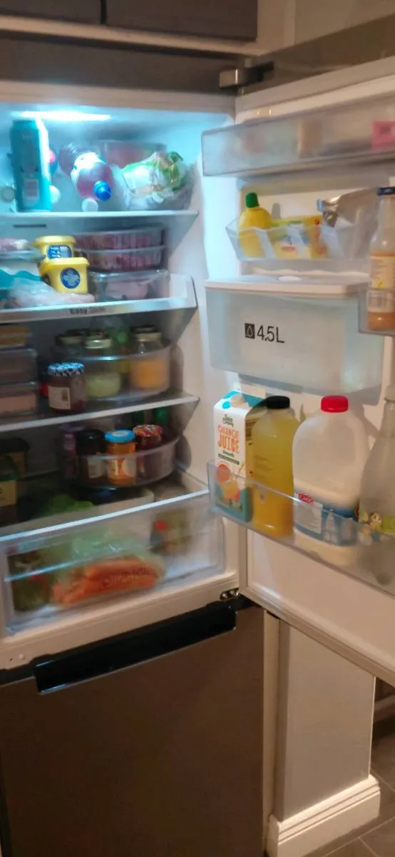 Samsung Freestanding Fridge Freezer - Image 2