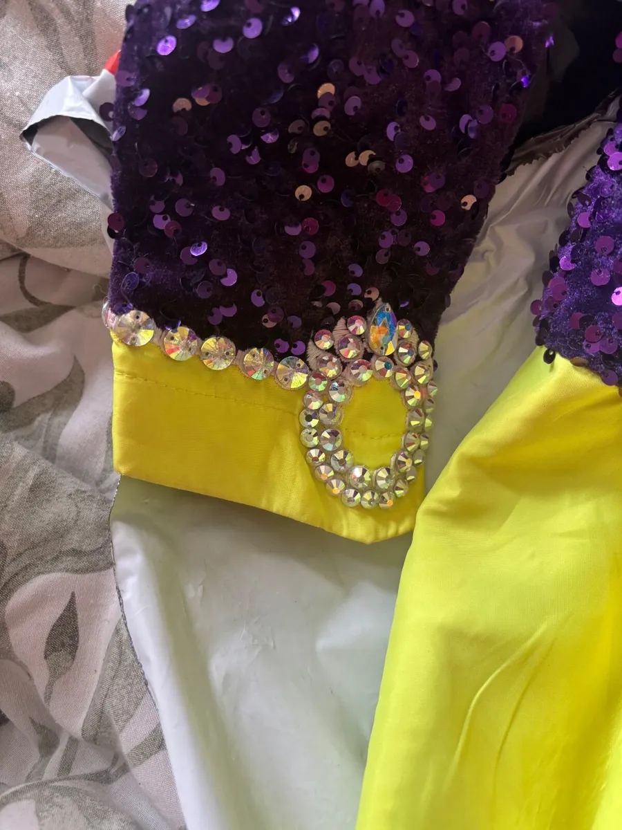 Irish Dancing Dress - Image 3