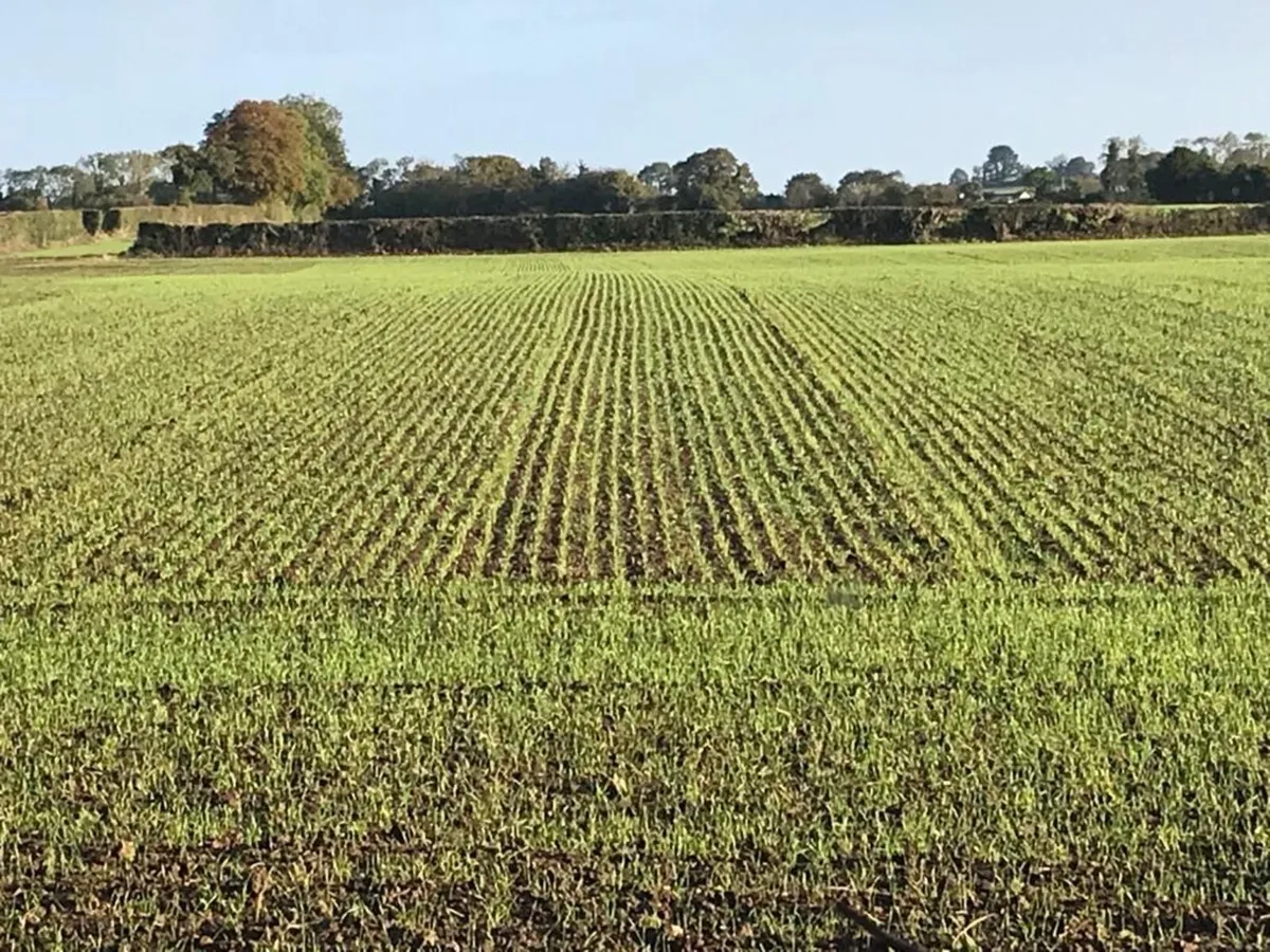 Land Wanted - Image 3