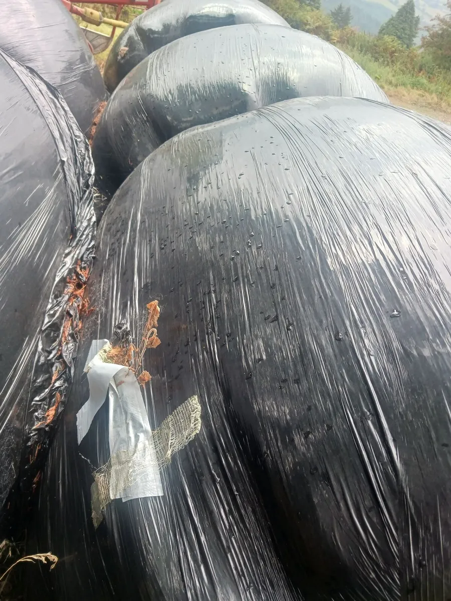 Bales haylage - Image 1